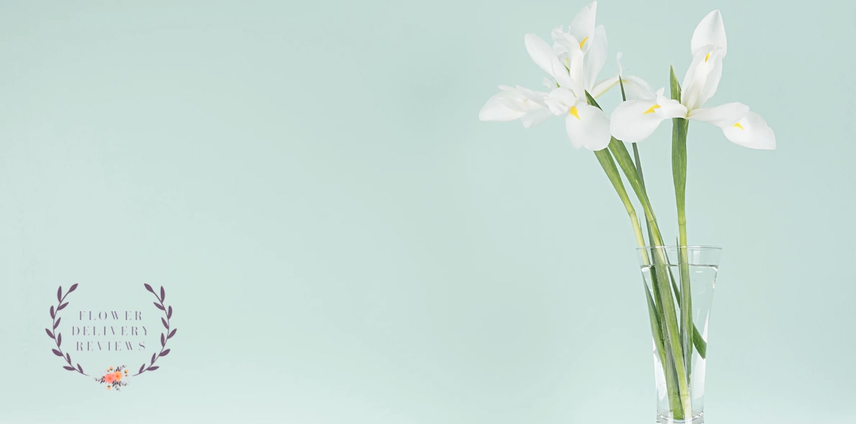 5 Best Shops for Flower Delivery in Harrisonburg, VA