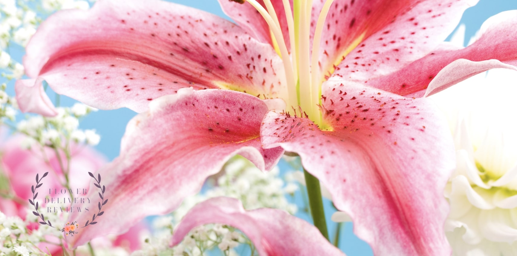 5 Best Shops for Flower Delivery in Janesville, WI