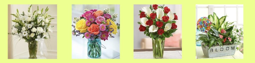 Dillon Chapin Florist's Homepage
