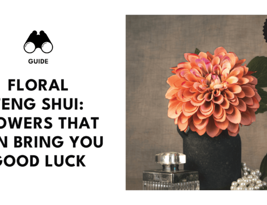 13 Feng-Shui Approved Flowers to Boost Your Luck