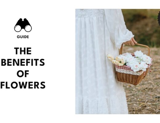 Scientifically Proven Benefits of Flowers and Why You Need Them
