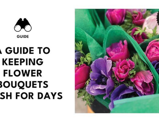 Keeping Flower Bouquets Fresh: 13 Tips and Tricks