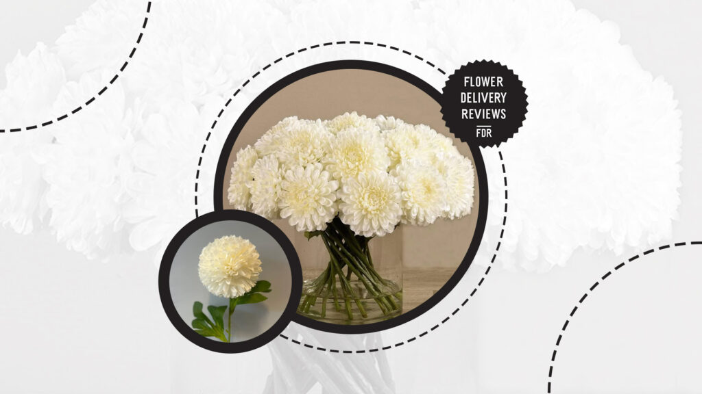 chrysanthemums