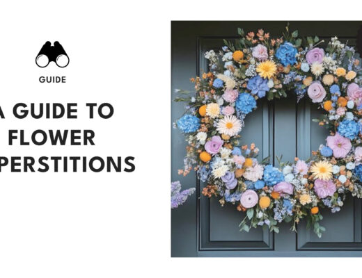 flower-superstitions-guide-banner