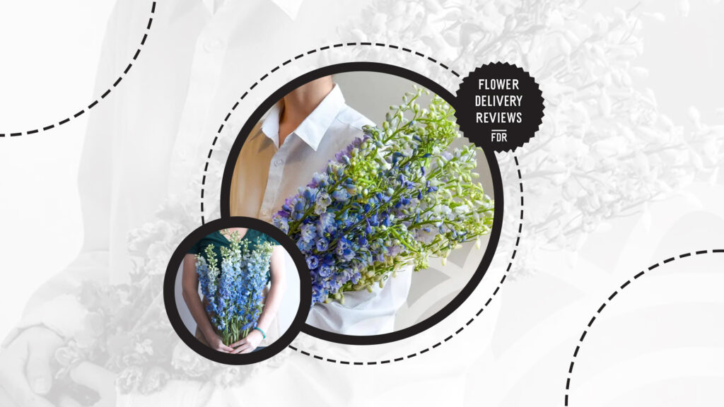 inaugural-flower-delphiniums