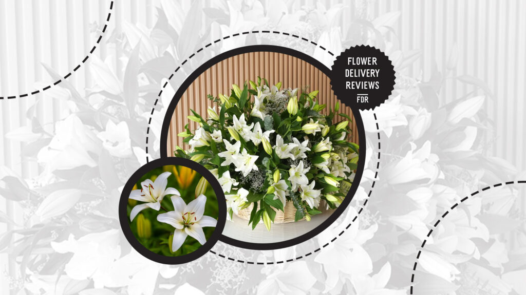 lilies