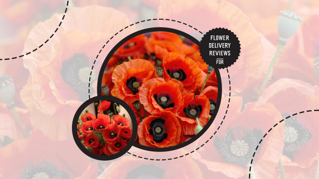 only-gift-13-poppies-to-avoid-bad-luck